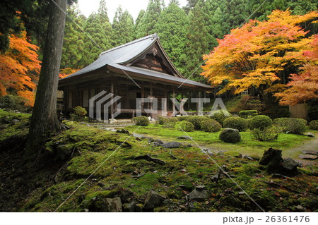 来迎院の紅葉 来迎院の紅葉 26361476