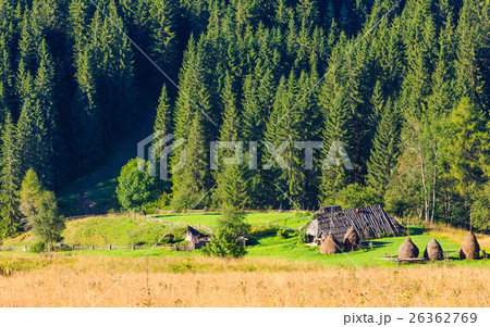 Summer mountain view (Carpathian, Ukraine). Summer mountain view (Carpathian, Ukraine). 26362769