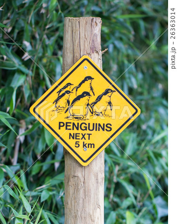 Road sign caution for birds pinguins 26363014