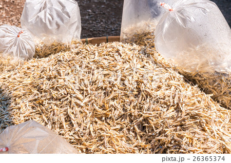 Dried fish at the Market Dried fish at the Market 26365374