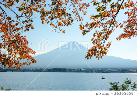 秋の河口湖 26365659