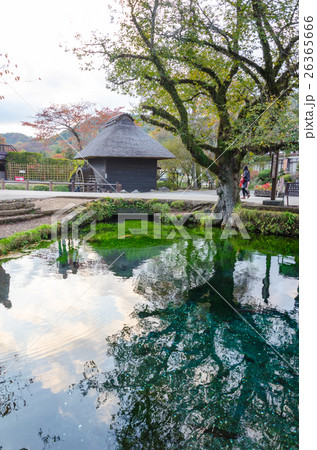 忍野八海の湧池 26365666