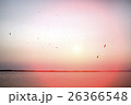 houses on piles on water at the time sunset 26366548