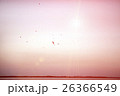 houses on piles on water at the time sunset 26366549