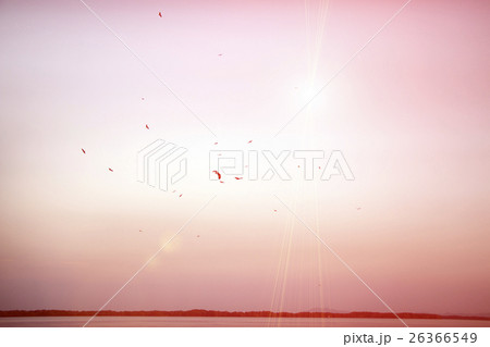 houses on piles on water at the time sunset houses on piles on water at the time sunset 26366549