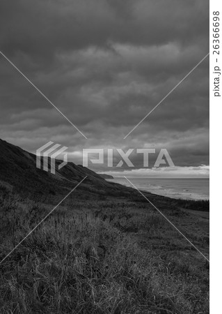 Wild Journey (24) 26366698