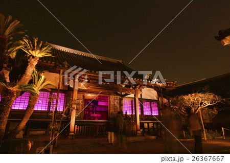 博多 博多 26367667