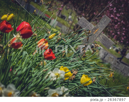 Forgotten grave 26367897
