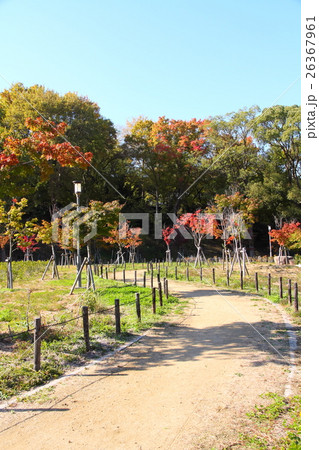 大阪城公園の秋 26367961