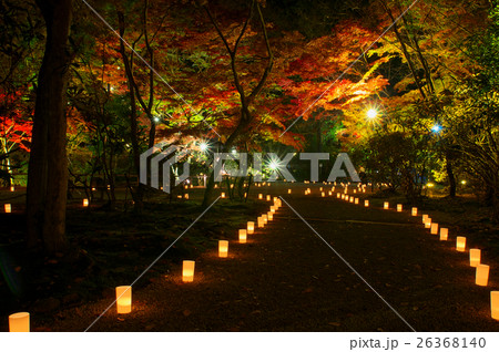 ロウソク灯篭と紅葉ライトアップ 室生寺 奈良県宇陀郡の写真素材