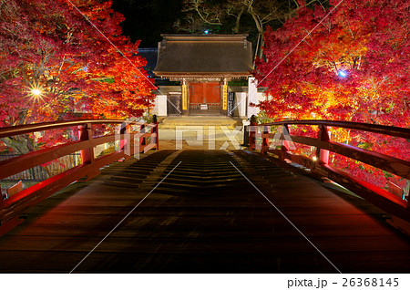 赤い太鼓橋と紅葉ライトアップ 室生寺 奈良県宇陀郡の写真素材