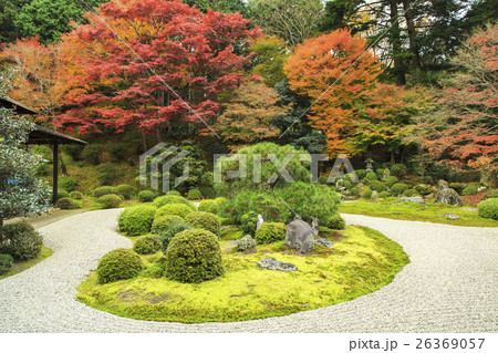 曼殊院の紅葉 26369057