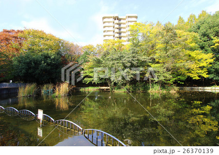 春の風公園 春の風公園 26370139