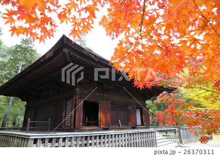 阿弥陀堂の秋～2016 26370311