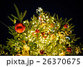 クリスマスツリー 26370675