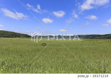 北海道・釧路湿原の草原 達古武湖付近 北海道・釧路湿原の草原 達古武湖付近 26371219