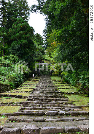 福井　白山平泉寺　一の鳥居と精進坂（2016.10） 26372016