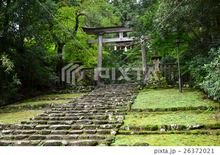福井 白山平泉寺 一の鳥居と精進坂(2016.10) 福井 白山平泉寺 一の鳥居と精進坂(2016.10) 26372021