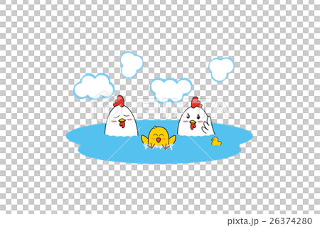 いらすと鶏親子 三家族 動き 縁なし のイラスト素材