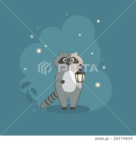 Raccoon with lamp 26374834