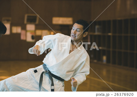 martial artist martial artist 26376920