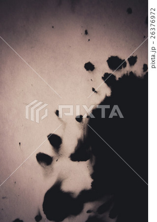 Ink conveyed over a white close-up paper 26376972