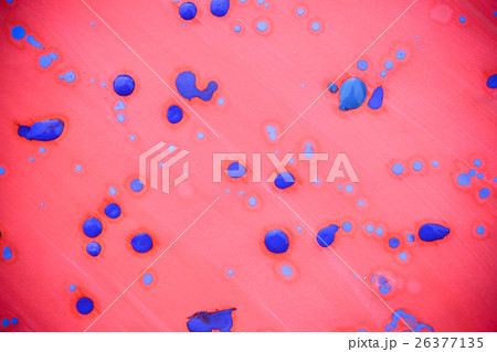 pink background with drops of blue pink background with drops of blue 26377135