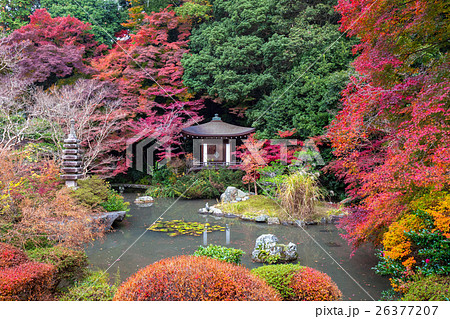 晩翠園(毘沙門堂門跡) 晩翠園(毘沙門堂門跡) 26377207