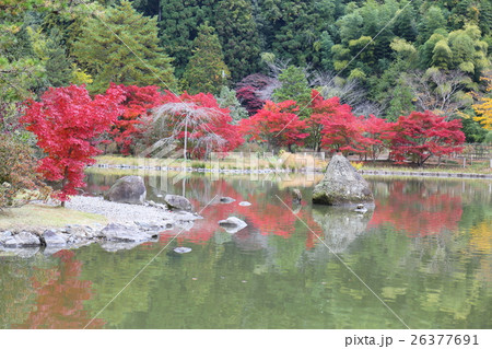 史跡　白水阿彌陀堂境域　浄土式庭園の秋～2016 26377691