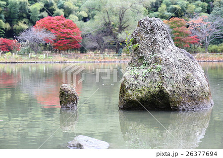 史跡　白水阿彌陀堂境域　浄土式庭園の秋～2016 26377694