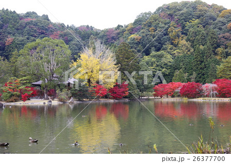 史跡　白水阿彌陀堂境域　浄土式庭園の秋～2016 26377700