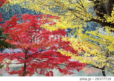史跡　白水阿彌陀堂境域　浄土式庭園の秋～2016 26377716