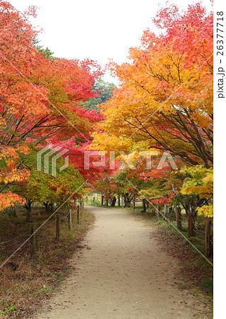 史跡　白水阿彌陀堂境域　浄土式庭園の秋～2016 26377718