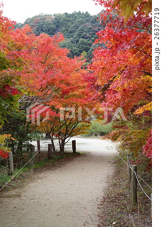 史跡　白水阿彌陀堂境域　浄土式庭園の秋～2016 26377719