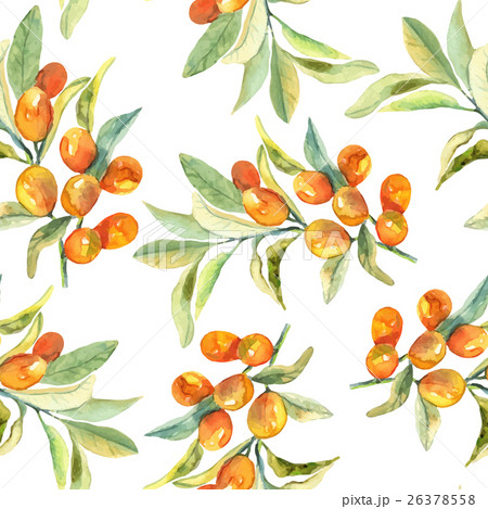 Seamless pattern of olive branch in watercolor Seamless pattern of olive branch in watercolor 26378558