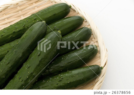 きゅうり 26378656