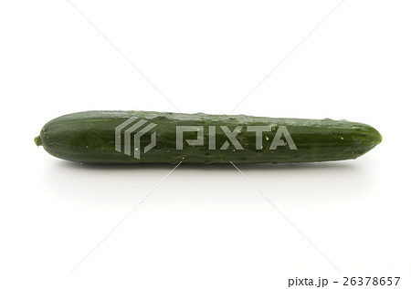 きゅうり 26378657
