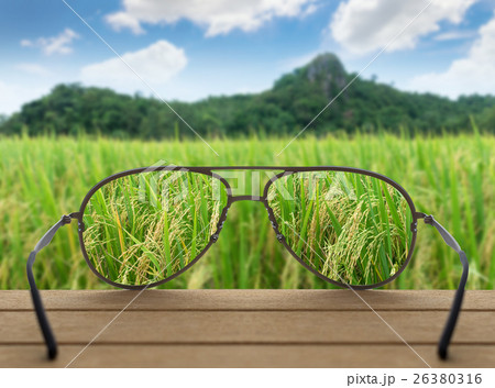 Conceptual image of rice field focused in glasses lenses over the photo blurred of Rice field with mountain background under blue sky with cloud Conceptual image of rice field focused in glasses lenses over the photo blurred of Rice field with mountain background under blue sky with cloud 26380316