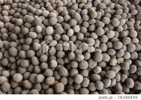 種イモ(じゃがいも) 種イモ(じゃがいも) 26380849