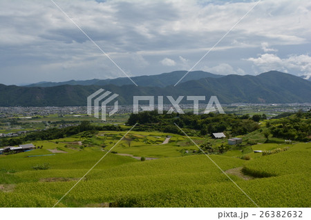 姨捨の棚田 ③ 姨捨の棚田 ③ 26382632