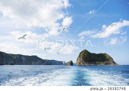 積丹でクルージング イメージカット(+カモメ) 積丹でクルージング イメージカット(+カモメ) 26382748