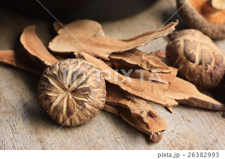 Ganoderma lucidum Ganoderma lucidum 26382993