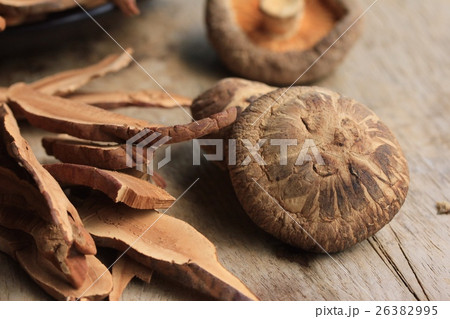 Ganoderma lucidum 26382995