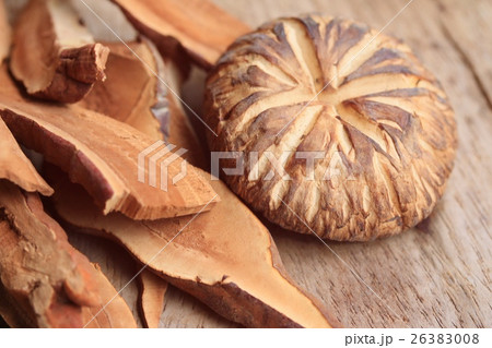 Ganoderma lucidum Ganoderma lucidum 26383008