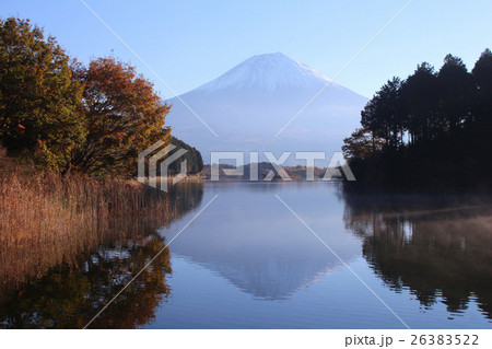 田貫湖 富士山と紅葉 田貫湖 富士山と紅葉 26383522
