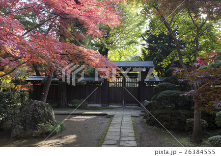 平林寺の紅葉 平林寺の紅葉 26384555