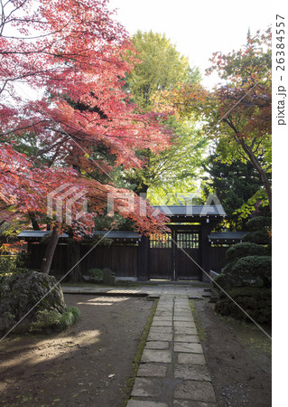 平林寺の紅葉 平林寺の紅葉 26384557