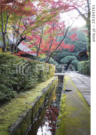 平林寺の紅葉 26384561