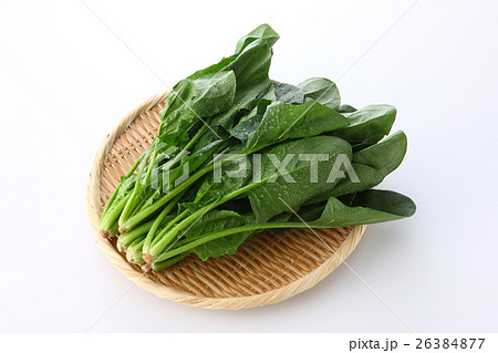 ほうれん草 26384877
