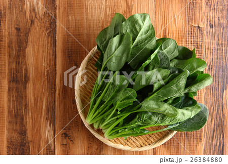 ほうれん草 26384880